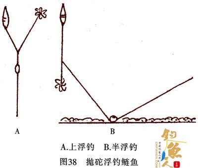 鲢鱼、鳙鱼垂钓方法