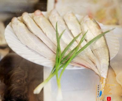 扬州一男子在江边钓鱼 竟钓上一条刀鱼！图片