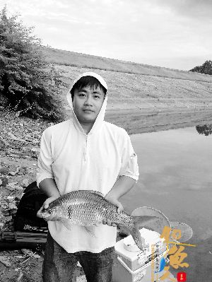 野钓之趣 由鲮开始