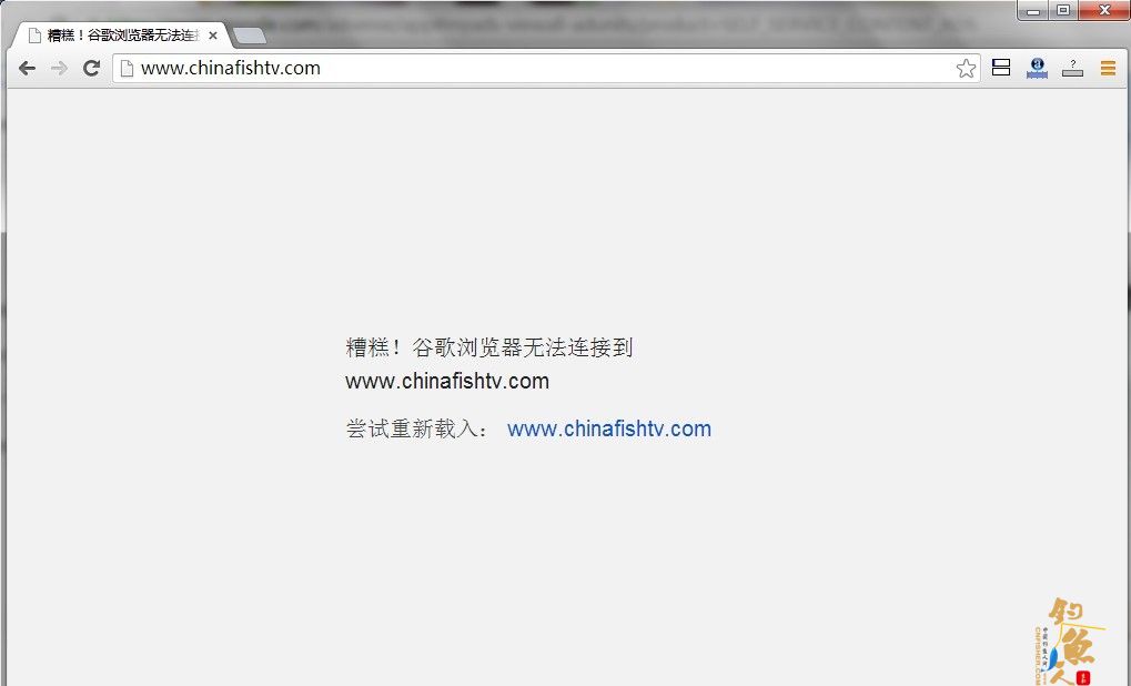 中国钓鱼频道网站怎么又打不开了？