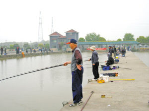老年钓鱼赛助市民养生