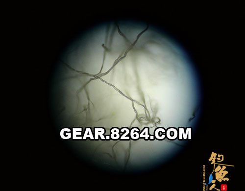 再来和医药棉签上的棉花比较下,棉花明显细得多,而且干瘪