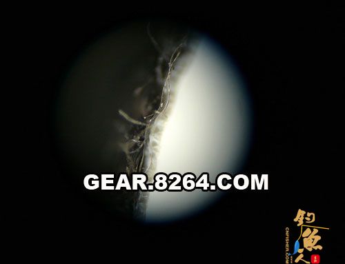 再来看看侧面，现在你知道它为什么防风了吧