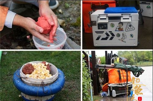 上海市民体育大联赛家庭钓鱼比赛在嘉定收杆