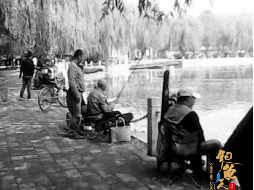 沈阳好心人公园湖边放生鱼苗 引来无数垂钓下网者 图