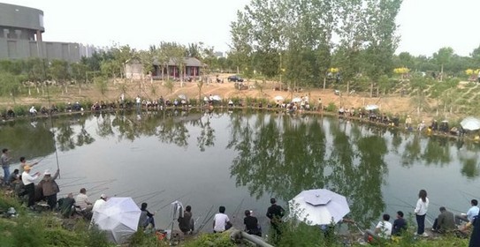 衡水池塘周围满是垂钓者 市民直呼“人比鱼多”