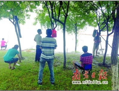  江滨公园踩着草地来垂钓 很“受伤”