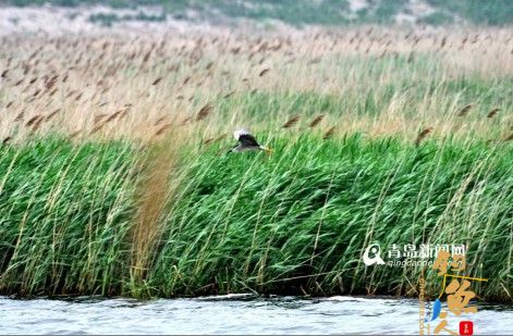 探访姜山湿地公园 垂钓胜地飞鸟天堂