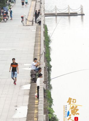 东阳江大桥附近江边请不要在此钓鱼