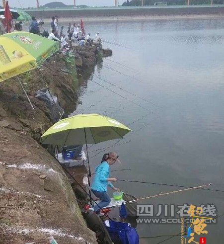 女子钓鱼队现身2014年遂宁市首届“麻子滩渔业杯”钓鱼大赛
