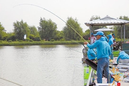 全国垂钓俱乐部挑战赛开杆，众高手齐聚庐阳