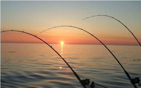 涨水与退水季节钓鱼特殊技巧