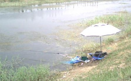 野河流水钓鱼选择好钓点提高钓获量