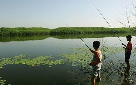 溪流旁钓鱼掌握好钓法才能提高钓获量