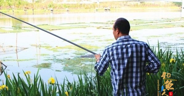 姜堰供电人劝醒钓鱼人 图