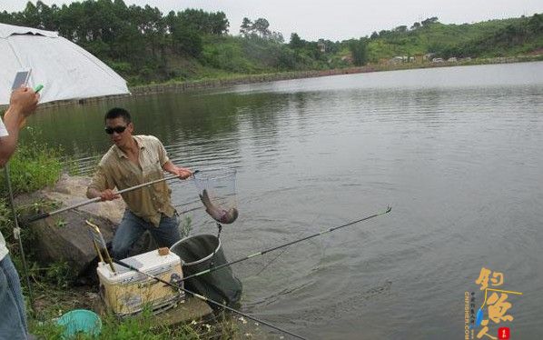 防城港市举办首届“钓鱼协会杯”钓鱼大赛