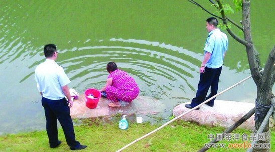 钓鱼洗衣摸螺蛳 普陀东港景观水系湿地公园“伤不起”