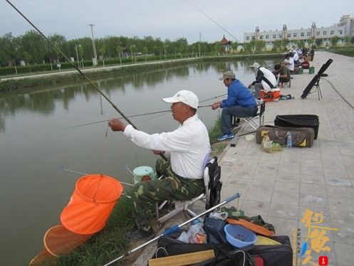 国网张掖高台县供电公司举办钓鱼比赛