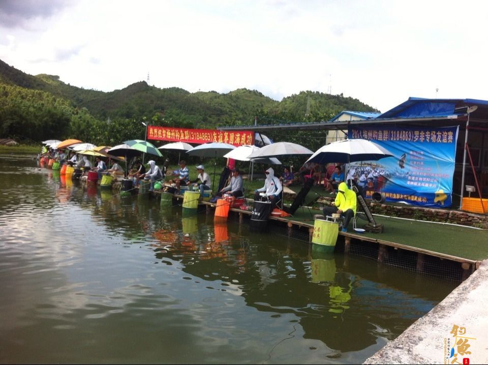 中国钓鱼人网赞助的梅州钓鱼群罗非钓鱼比赛取得圆满成功