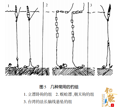 南方北方池塘钓技的差别