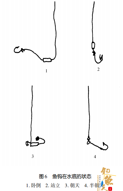 南方北方池塘钓技的差别