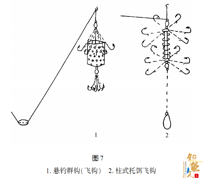 池塘钓的主要对象第三篇--鲢鱼、鳙鱼