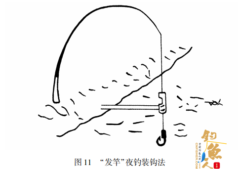 钓鲇胡子的妙法