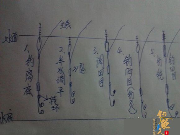 新手学钓鱼简易调漂技巧(调四钓二)