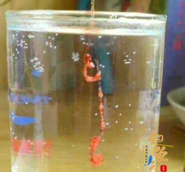 粉粘小米使用方法,解决小鱼闹窝又一方法