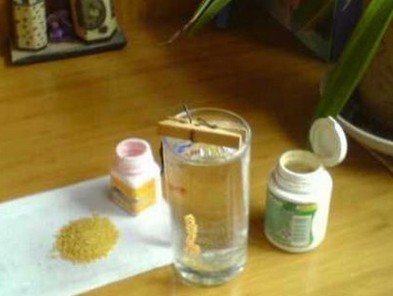 粉粘小米使用方法,解决小鱼闹窝又一方法