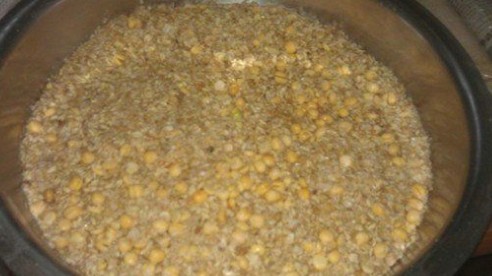 自制糟食鱼饵(适用水库垂钓大型鱼类)