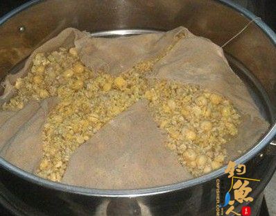 自制糟食鱼饵(适用水库垂钓大型鱼类)