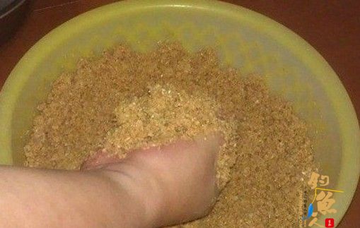 自制糟食鱼饵(适用水库垂钓大型鱼类)