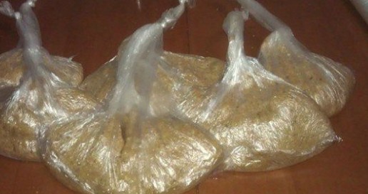 自制糟食鱼饵(适用水库垂钓大型鱼类)