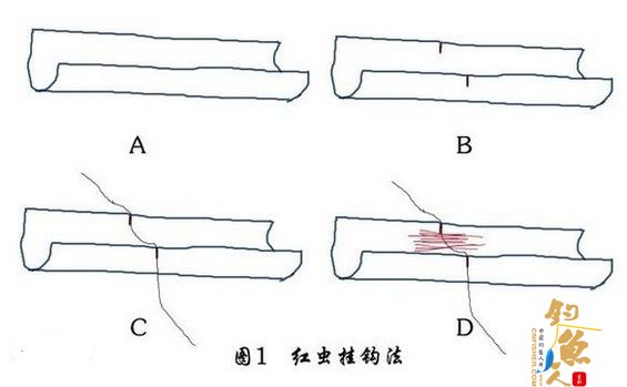 春季钓鱼用虫夏季钓鱼用面秋季钓鱼用蚂蚱