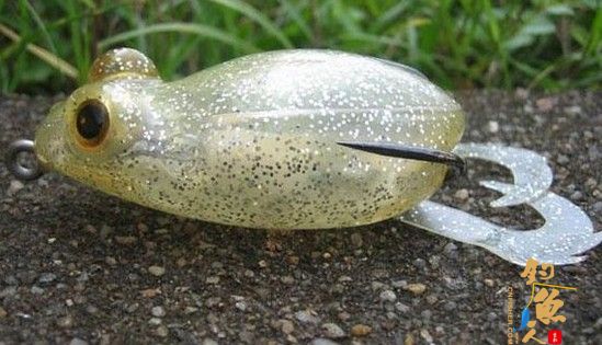 雷蛙的优势分析与操作方法