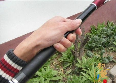 钓鱼新手如何选购鱼竿 多图