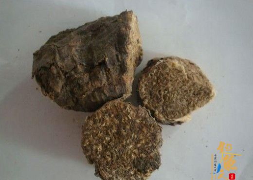 谈谈有关阿魏的用法吧