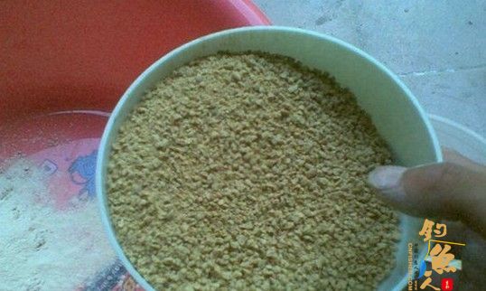 自制纯天然鱼饵,麸皮小鸡饲料雪花粉拉丝粉自配!