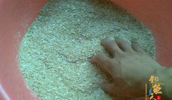 自制纯天然鱼饵,麸皮小鸡饲料雪花粉拉丝粉自配!
