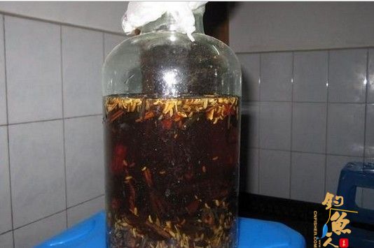 秀秀我自己的钓鱼药酒