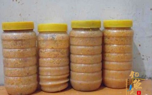 自制玉米粒窝料的过程