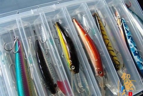 路亚钓鱼时如何选择使用假饵的颜色