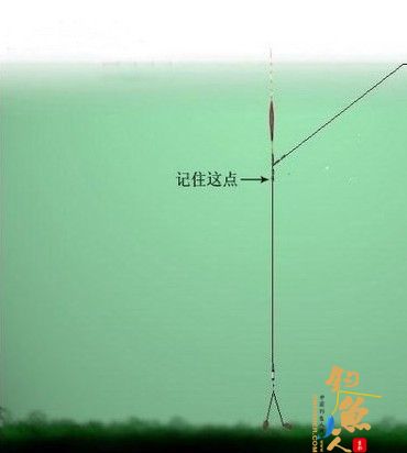 台钓拉饵快速找底图解