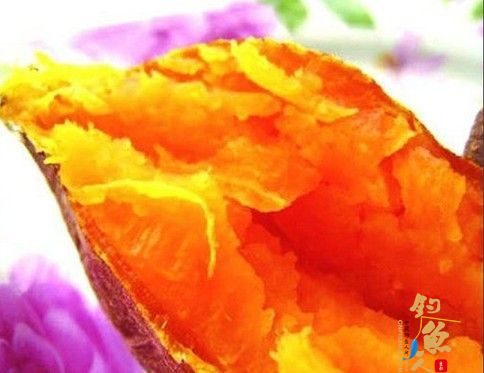 用红薯做饵料的多种方法探索