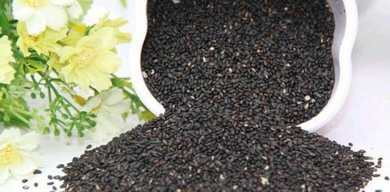 常用粮食类鱼饵小麦大米小米玉米等