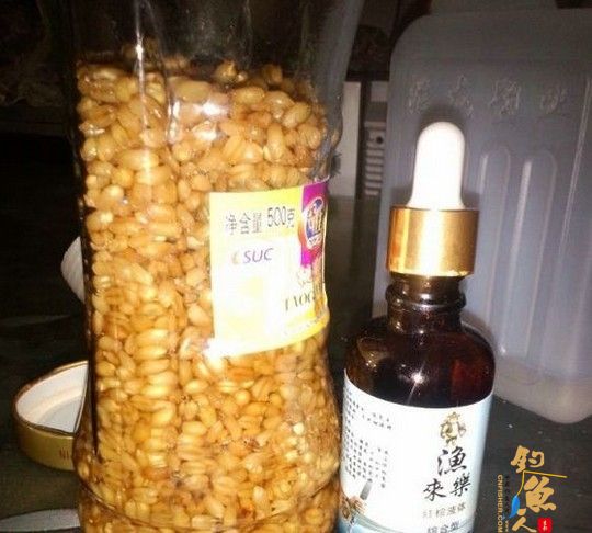 自制小药小麦饵料打窝料、仅供钓友参考，配图