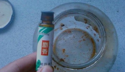 麝香中药玉米粒的制作方法