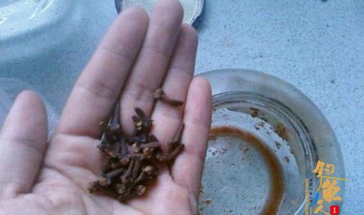 麝香中药玉米粒的制作方法