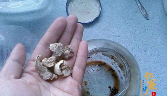 麝香中药玉米粒的制作方法